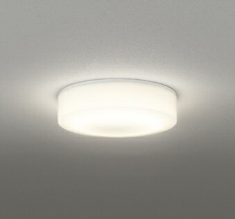 OG254874R エクステリアライト (白熱灯100W相当) LED（電球色） オーデリック (OX) 照明器具