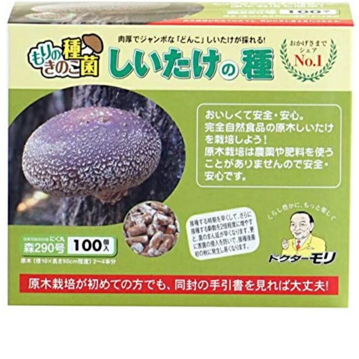 楽天あかさたな総本店　楽天市場店椎茸種駒 【しいたけ種駒100個】鍋 自由研究 夏休み