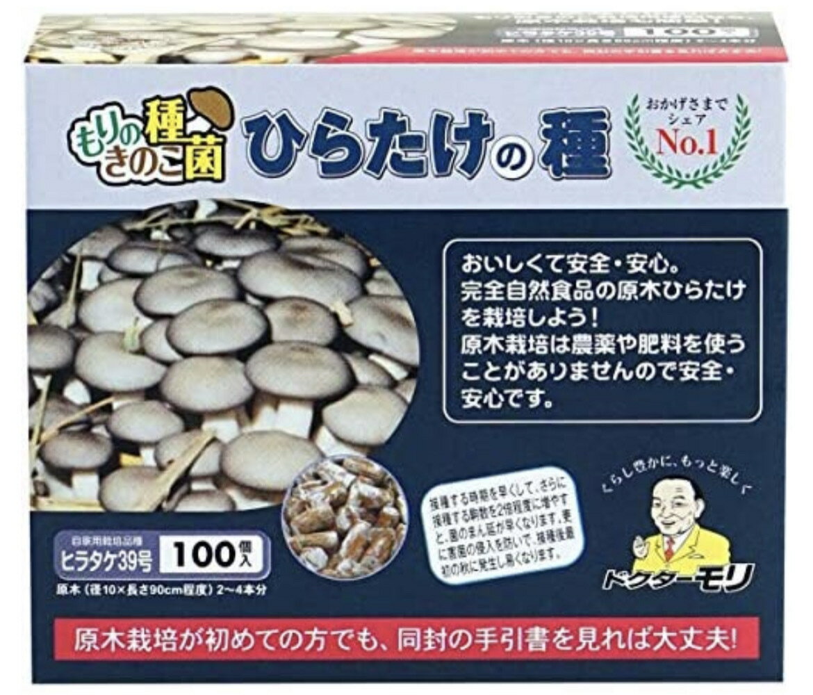 ヒラタケ種駒 【ひらたけ種駒100個】