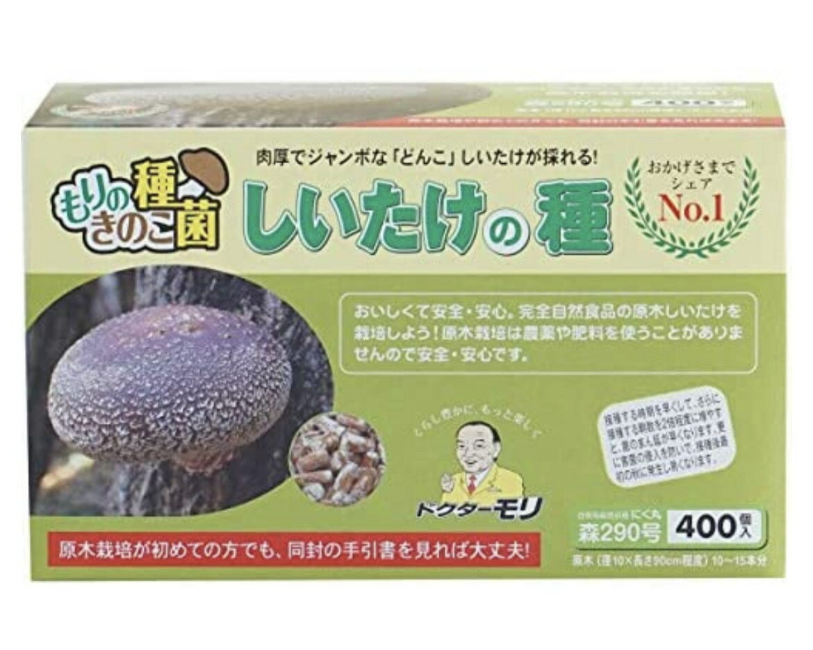 楽天あかさたな総本店　楽天市場店椎茸種駒 【しいたけ種駒400個】鍋 自由研究 夏休み