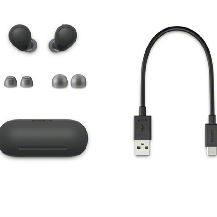 SONY WF-C700N ワイヤレスイヤホン ノイズキャンセリング 軽量 カナル型 ソニー ブラック 送料無料（2枚目）