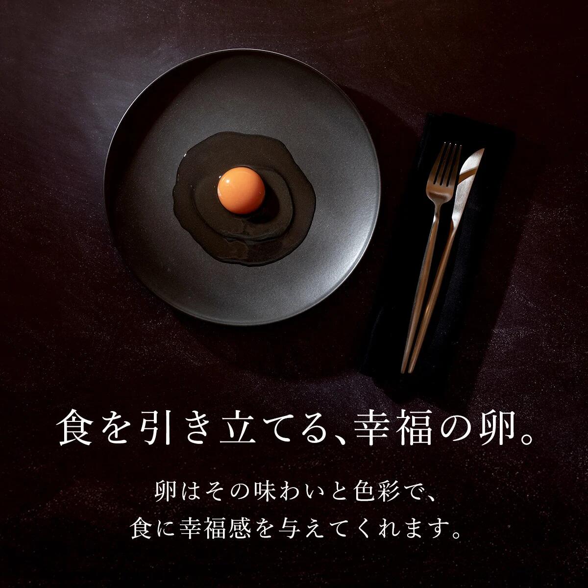 【送料無料 高級 贈答品】 奥京都「卵どすえ」20個 40個 贈り物 最高級 ギフト プレゼント TKG 卵かけごはん たまご 卵 濃厚 美味しい お祝い 誕生日 お取り寄せ 朝食 ランキング お月見 月見 卵料理 ゆで卵 煮卵 おでん 鍋 健康 御祝 卒業 転勤 送別 歓迎 引越 転居