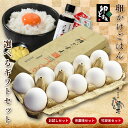 【送料無料】奥京都「卵どすえ」たまごかけご飯セット だし醤油 お試し TKG 美味しい 卵 たまご たまごかけごはん 卵かけごはん 卵かけご飯 朝ごはん 贈り物 ギフト 誕生日 高級卵かけご飯 ランキング ゆで卵 専用 醤油 お中元 暑中見舞い 健康 御祝 転勤 送別 歓迎 引越
