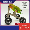 インコ おもちゃ インコ玩具 自転車 四輪車三 輪車 鳥 玩具 鳥 知育 玩具 訓練玩具 ストレス解消 おもちゃ しつけ 一発芸 トレーニング 運動不足解消 輪投げ 鳥 とり トリ 鳥用品 オウム 小鳥 …