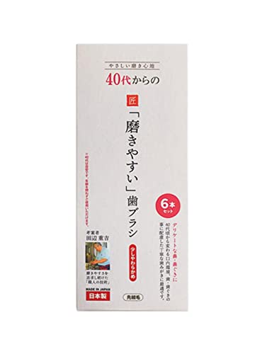 歯ブラシ 田辺重吉考案 歯ブラシ職人 LT-59 40代からの「磨きやすい」歯ブラシ 先細毛先細毛 小さめヘッド ハブラシ …