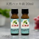 ハッカ 天然ハッカ油(ハッカオイル) 20ml x2本(40ml) 保存に最適な遮光ビン入り マスク アロマオイル 入浴剤 スプレー花粉 消臭 日本製 薄荷 はっか ハッカ油 ハッカ オイル マラソン 買い回り 消臭 ミント 送料無料