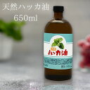 ハッカ 天然ハッカ油(ハッカオイル) 650ml 中栓付き 保存 最適 遮光ビン マスク アロマ オイル 入浴剤 スプレー花粉 消臭 日本製 薄荷 アロマオイル 入浴剤 スプレー 花粉 消臭 薄荷 はっか