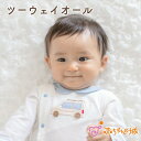 【LINE登録で300円OFF】ツーウェイオール 春 夏 男の子 出産準備 出産祝い 日本製 新生児 ベビー服 綿100% 50〜70 くるま 赤ちゃん プレゼ...