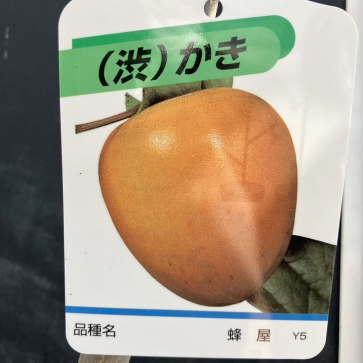 商品画像3