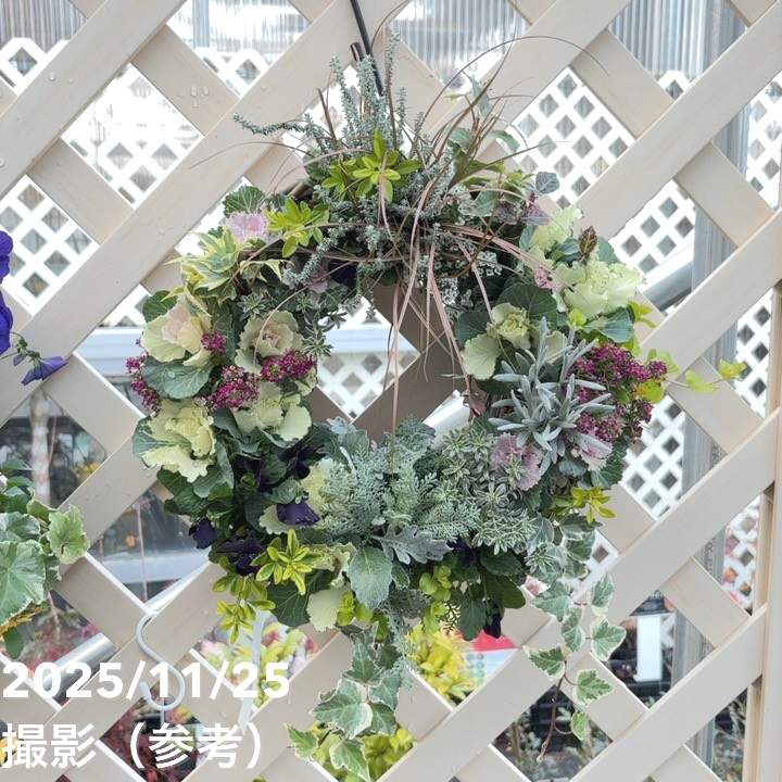 【現品お届け】彩り豊かな季節のハンギングバスケット AS1｜草花04-PA