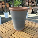 テラコッタ鉢 ウィッチフォード Whichford Chelsea Longtoms 536(代引き不可)|資材04-PA