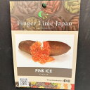 こるふぁーむ フィンガーライム 5号 ピンクアイス(代引き不可)|柑橘|果樹10-TU