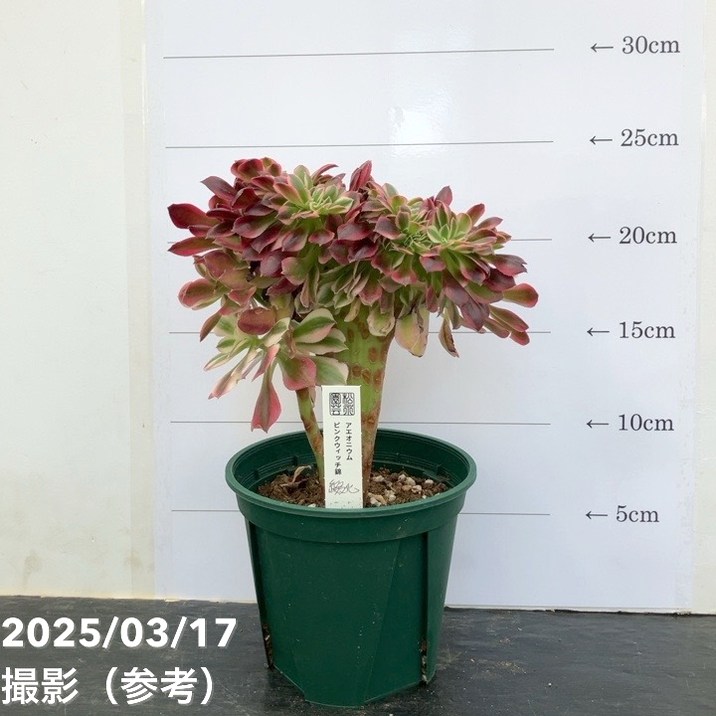 552555280601972891-r.jpg 552555280601972891-r.jpg