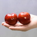 商品画像2