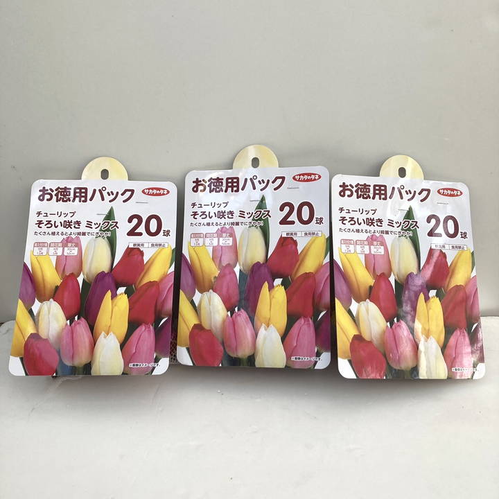 チューリップ球根 そろい咲きミックス 20球×3袋セット ｜球根08-TU