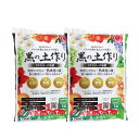【決算!ポイント5倍!7/31まで】黒の土作り(FFCバーク堆肥)20L(約8kg)入り 2袋セット(植物との同梱不可※沖縄県発送不可)|用土11-TU