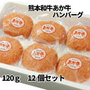 熊本 和牛 あか牛 ハンバーグ セット 120g×12個 【送料無料】 ギフトボックス入りでヤマト運輸クール冷凍宅急便で発送！九州 熊本県産 熊本 阿蘇 赤牛 牛肉100% ギフト 贈り物 コンペ 国産 赤身肉 あか牛精肉販売 父の日 母の日 通販