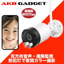 防犯カメラ 家庭用 屋外 ワイヤレス 4k 金属製 耐久型 800万画素 wifi対応 AI人感検知 動体検知 双方向音声 SDカード録画 遠隔監視 防水防塵 IP66 屋内兼用 センサーライト ナイトビジョン NVR増設対応 スマホ連動 監視カメラ ネットワークカメラ