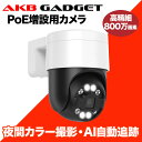 防犯カメラ poe 屋外 800画素 自動追尾機能 センサーライト付き ネットワークカメラ AI 動体検知 当店NVR増設可能 防水防塵 遠隔監視 屋内対応 単独使用不可