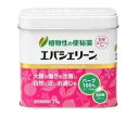 【指定第2類医薬品】エバシェリーン 75g(4)
