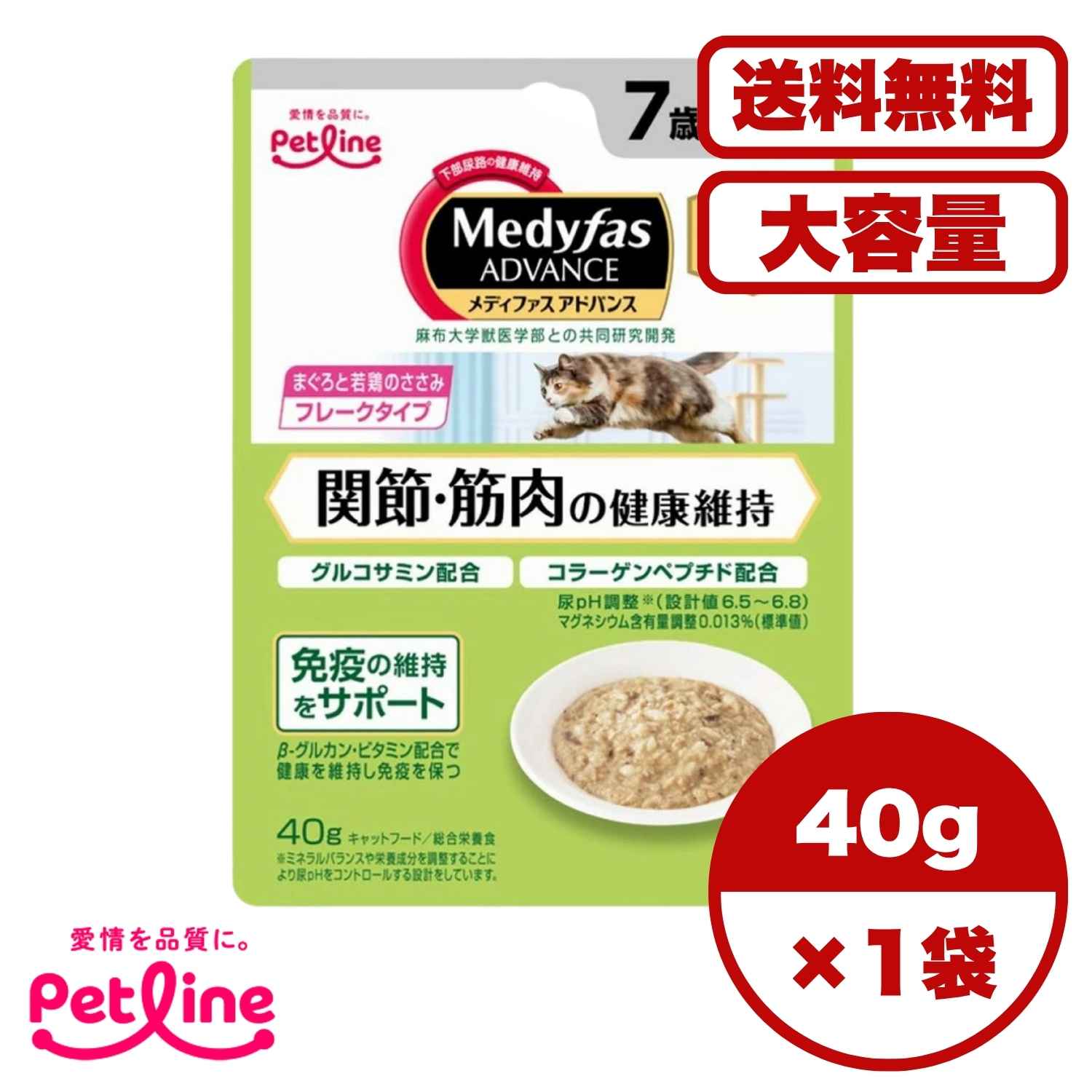 ������̵�� ���å����� 1�� 8�� 16�� 60��/��1����ʬ �ۥ���åȥա��� �����å� �ѥ��� ǭ�α� ������ܿ� ��ʬ���Υڥåȥ饤��ϥ�ǥ��ե�������...