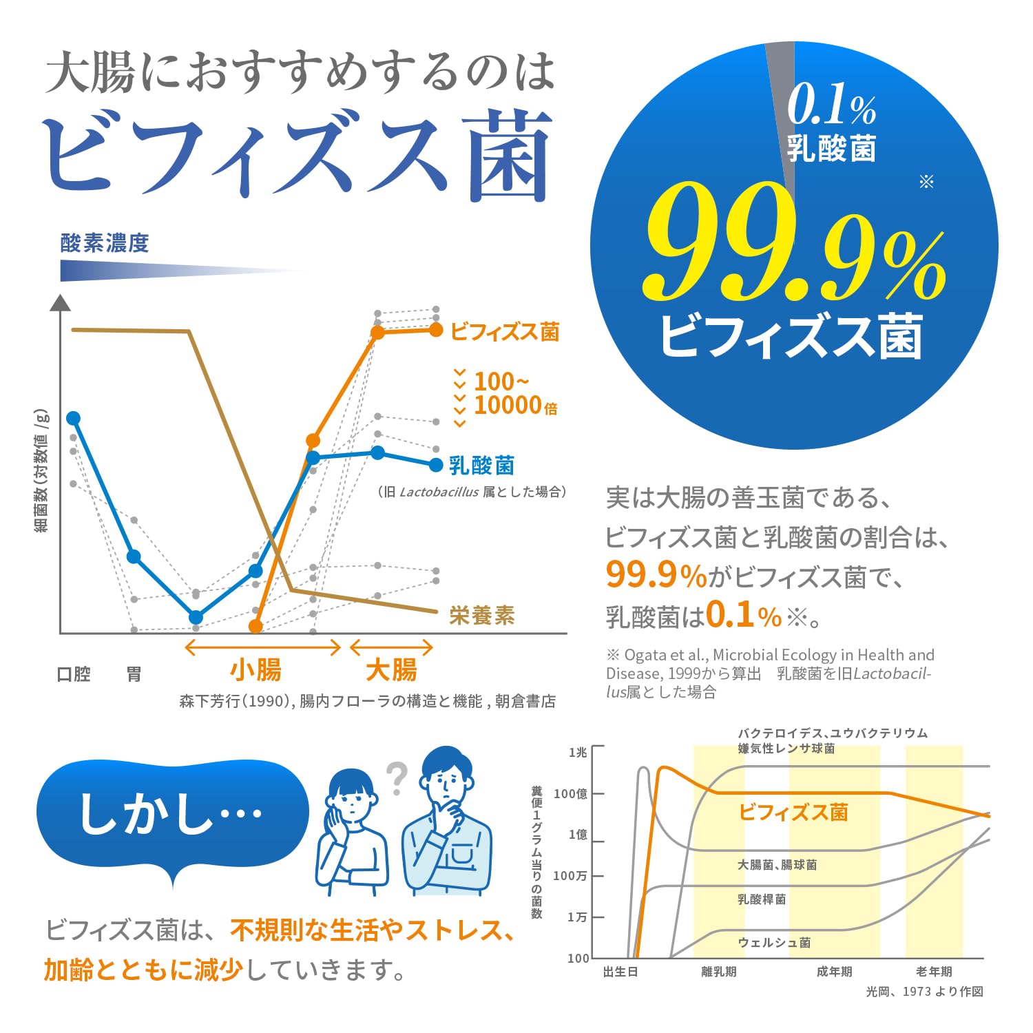 【2個セット】送料無料 森永乳業 ビヒダス 生きて届く ビフィズス菌BB536 30日分 3...