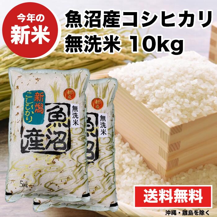 【送料無料】 魚沼産コシヒカリ 無洗米 10kg 米 【新米 魚沼産コシヒカリ 令和5年産 無洗米 10kg(5Kg×2袋)】 送料無料 魚沼産 コシヒカリ お米 新潟県 こしひかり 産地直送