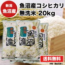 【令和4年産 新潟県魚沼産 コシヒカリ 無洗米 20kg(5Kg×4袋)】 新潟県魚沼産 無洗米20kg 魚沼産 コシヒカリ 送料無料