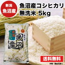 【送料無料】 魚沼産コシヒカリ 無洗米 5kg 米 【令和4年産 魚沼産コシヒカリ 無洗米 5kg】 送料無料 お米 新潟県 こしひかり 訳あり 2..