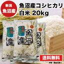 【送料無料】令和4年 魚沼産コシヒカリ 白米 20kg 米 【魚沼産コシヒカリ 20kg 令和4年産 白米 5kgx4】送料無料 魚沼産 コシヒカリ 新潟県 お米 白米 米 数量限定 最安値