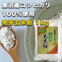 魚沼産コシヒカリの米を100％使用 小麦グルテンなどは使用してありません。 健康維持や美容をGABAがサポート！ 家庭のホームベーカリーで発芽玄米粉パンも作れます。パンやケーキに最適な微細粉35ミクロンの発芽玄米粉です。 ■包装：ポリエチレン袋入り ■原材料：新潟県魚沼産コシヒカリ ■内容量：1kg ■賞味期限：製粉日より350日（裏面に表記） ■保存：直射日光、高温多湿をお避け、開封後はお早めにお召し上がりください。 【送料】 本州　600円（税込） 北海道・四国・九州　1000円（税込） ※冷凍商品との同梱はお受けできません。