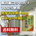 【魚沼産コシヒカリ 発芽玄米粉 1kgx4袋】グルテンフリー 国産 お菓子材料 ケーキ パン 材料 小麦不使用 健康食材 無添加 小麦アレルギー GABA 送料無料