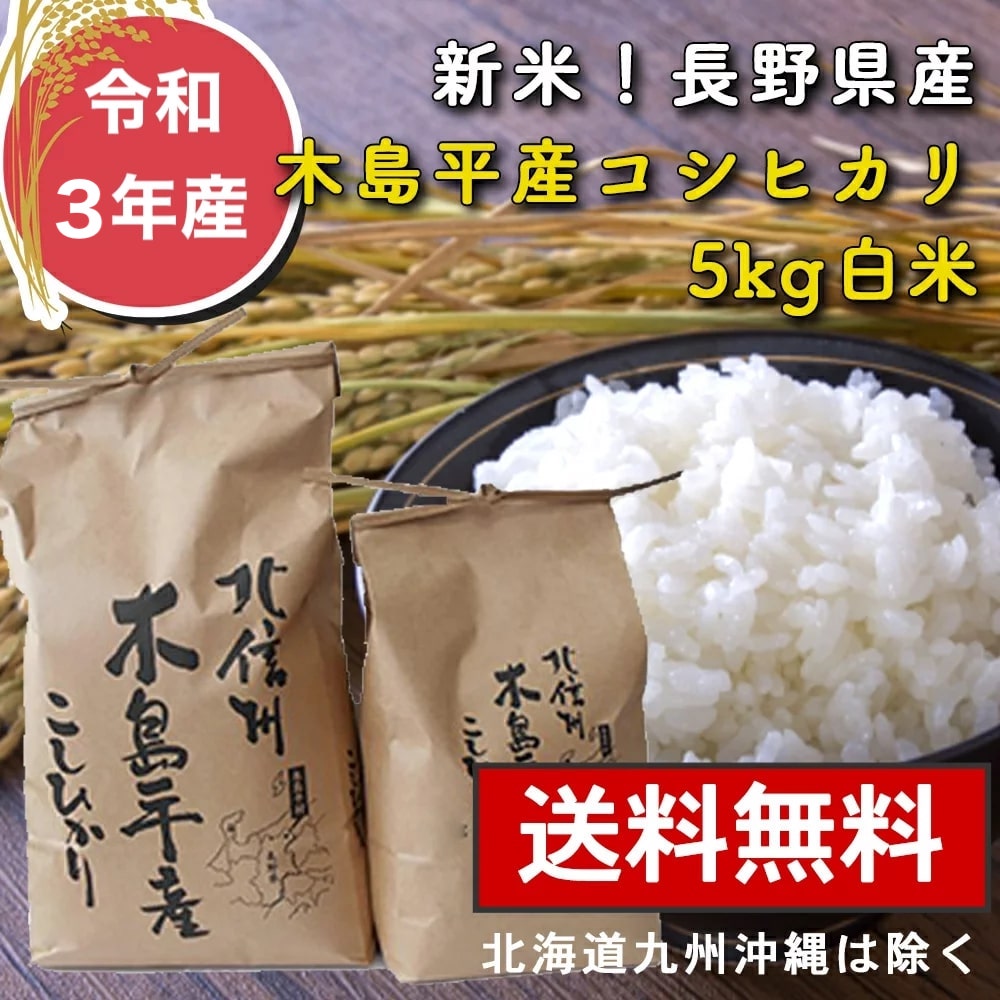 令和3年産 【木島平産コシヒカリ5kg 白米】最安値 お米 こしひかり 送料無料 白米のサムネイル