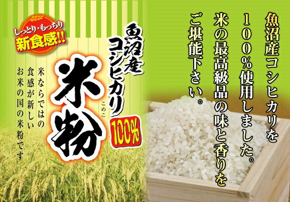 【魚沼産コシヒカリ 米粉 1kg 】グルテンフリー 国産 お菓子材料 ケーキ パン 材料 小麦不使用 健康食材 無添加 小麦アレルギー 2