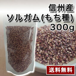 信州産ソルガム（もち種）　内容量:300g/袋　送料無料　グルテンフリー　スーパーフード　国産　雑穀　健康食品　整腸作用　ダイエット　美容　ポリフェノール　GABA　食物繊維