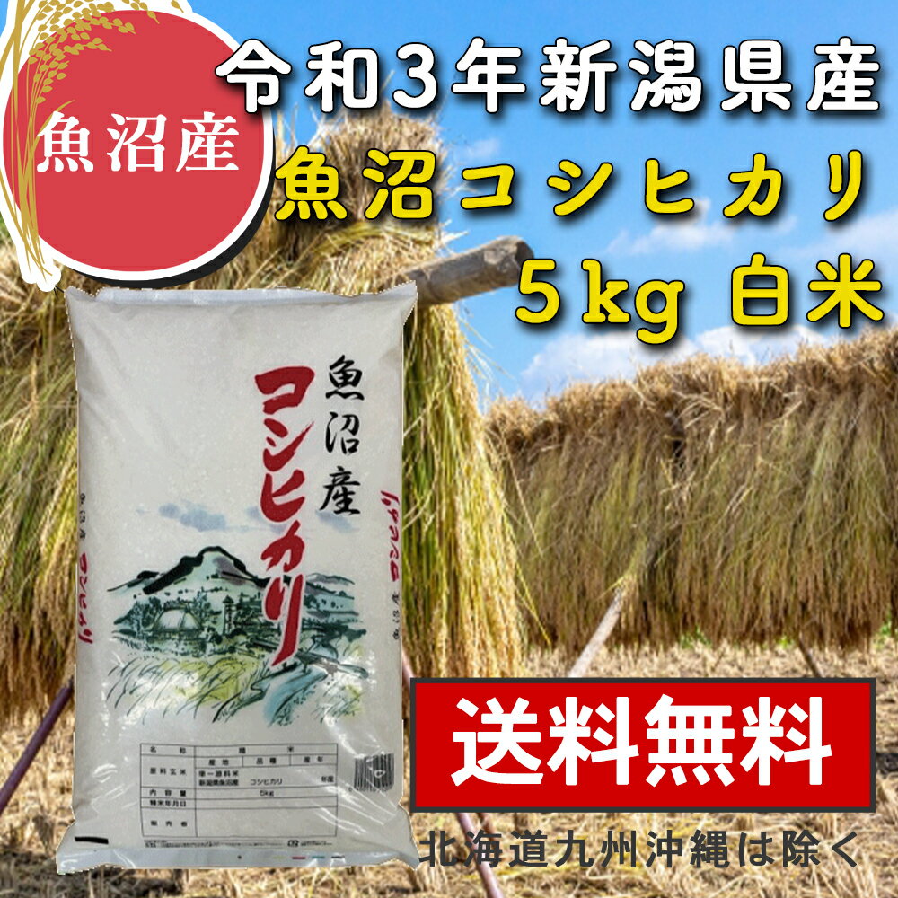 【送料無料】 魚沼産コシヒカリ 白米 5kg 米 【令和3年産 魚沼産コシヒカリ 無洗米 5kg】 送料無料 魚沼産 コシヒカリ お米 新潟県 こしひかり 訳あり 2等米 産地直送