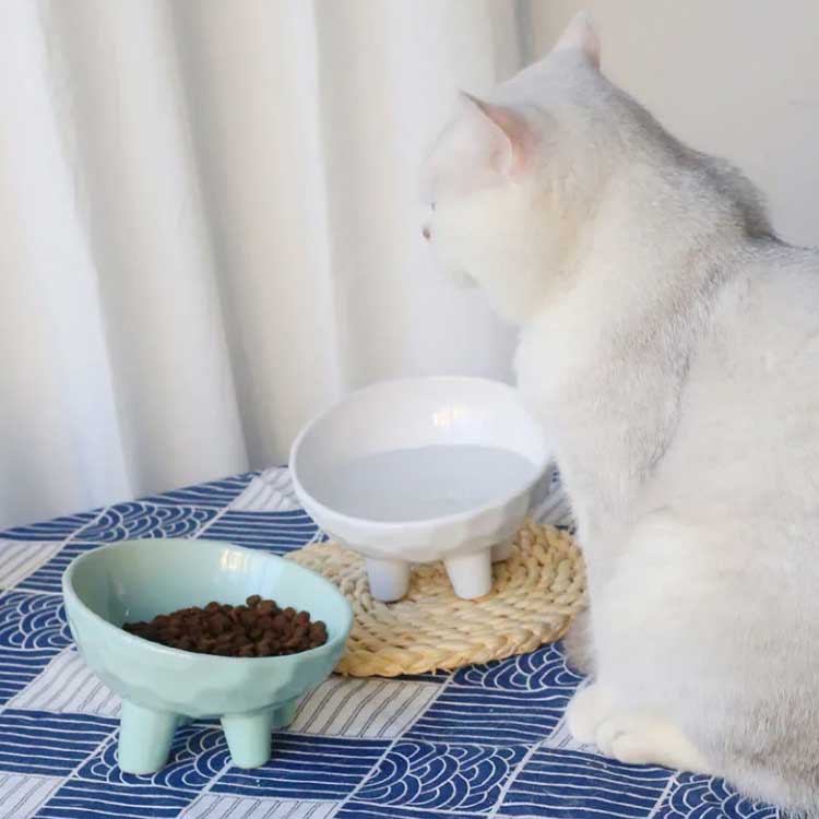 猫食器 皿 猫 ネコ 猫用 餌入れ 脚つき 傾斜 犬 犬用 陶器 フードボウル 猫 ペット 食器 お水入れ 猫ボ..