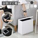 ゴミ箱 おしゃれ ごみ箱 縦型 四角 角 分別ゴミ箱 蓋付き ゴミ袋 袋 隠す 見えない 分別 スリム 北欧 チューブラー ブリック イデアコ ごみばこ 2分別 オシャレ ごみばこ 台所 スリム 学校 居間 寝室 リビング キッチン 洗面所