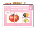 【知育玩具】 やさいだんめんカード NO.102550 野菜カード 断面カード カードあそび 野菜 豆知識付き カード遊び GW 正月 パーティー 絵札 知育グッズ ちしき キッズ お子様 試験対策 遊びながら学べるグッズ 野菜で楽しむ組み合わせカード【3cmメール便OK】