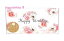 【Gift envelopes】ギフト金封 Happy Birthday(ピンクローズ柄)KP-14462(横型洋6封筒)★メッセージカード付き★★立体モチーフデザイン金の箔押し加工金封/ギフトカード封筒ギフト券入れお祝袋金封チケット入れ/バラ薔薇柄★【3cmメール便OK】