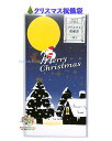 【 Xmas グッズ 】 クリスマス 祝儀袋 ノ837 夜空 箔押し加工 1枚入り merry Christmas ギフト 金封 X'mas gift プレゼン...