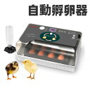 【15日限定・2P+5%offクーポン】孵卵器 孵化器 鳥類 専用 孵卵 器 自動孵卵器 孵卵 器 インキュベーター 恒温器 鳥類専用ふ卵器 孵化器 自動転卵式...