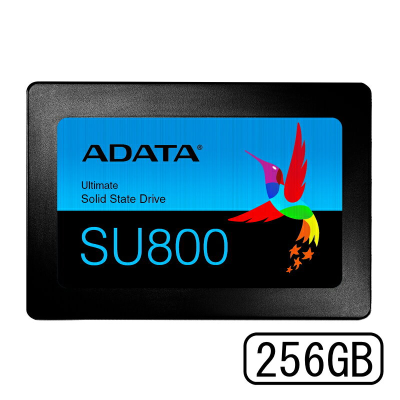 ADATA Ultimate SU800 3D NAND SSD 256GB ASU800SS-256GT-C ストレージ