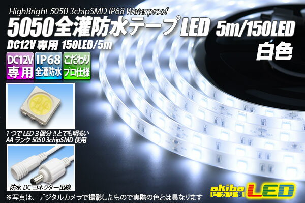 ɿơLED 30LED/m IP68  5m
