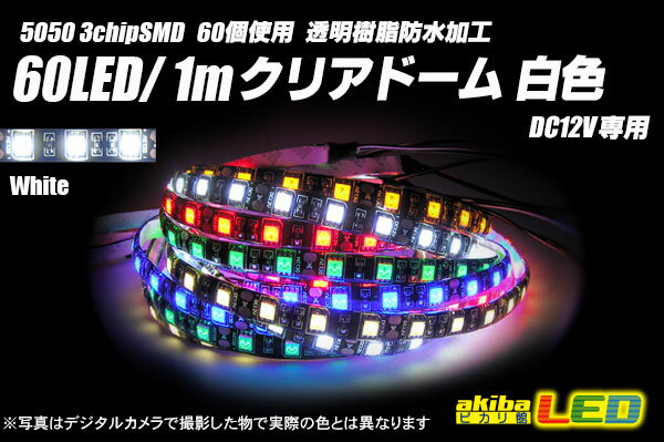 60LED/1m クリアドームテープLED 白色