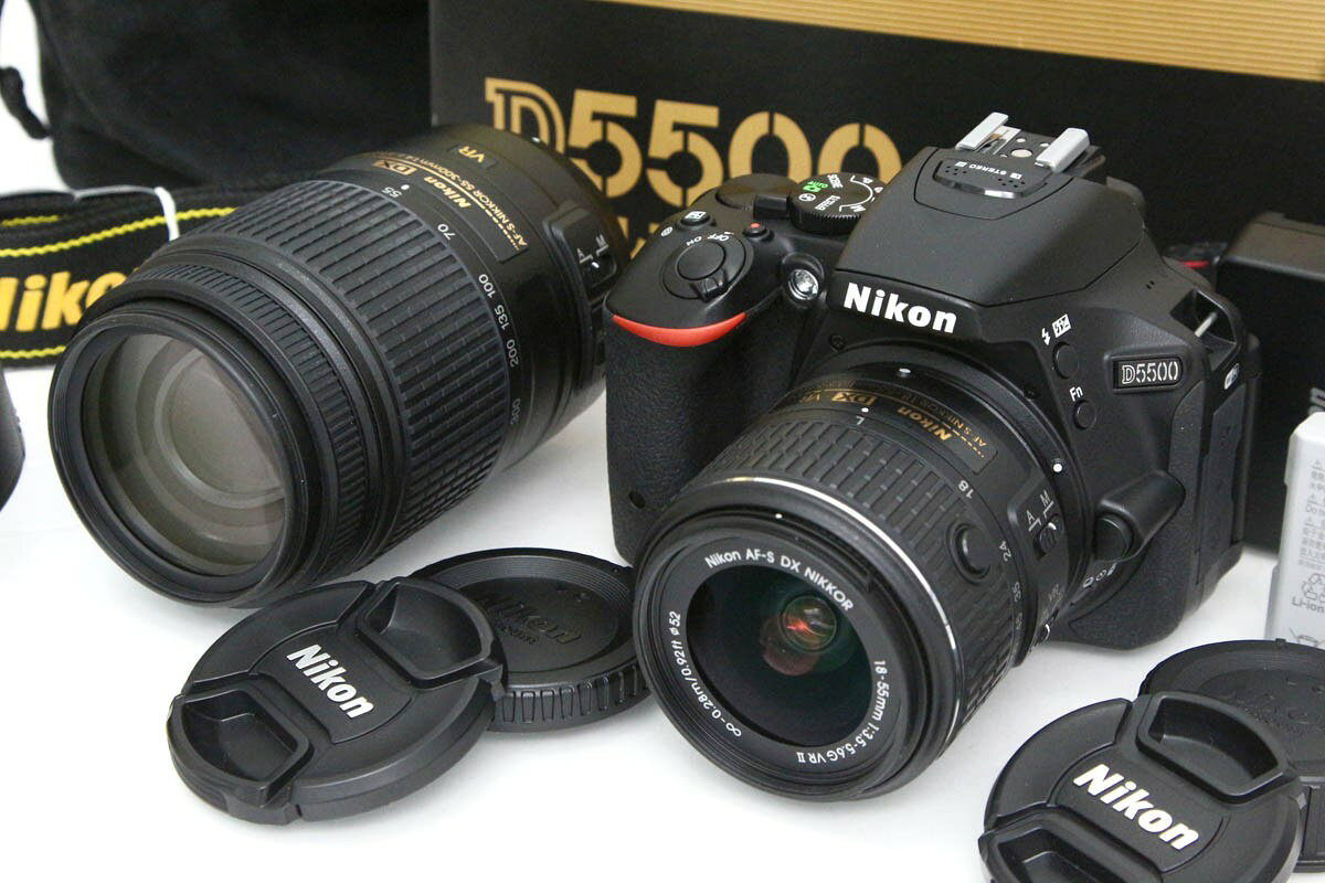 楽天市場】D5500 ダブルズームキットの通販