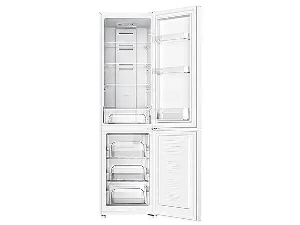 šTCL(ƥ) Ÿʡ ¢ ۥ磻 TR-B22AR 48.2cm 220L 2ɥ ס 198-ud