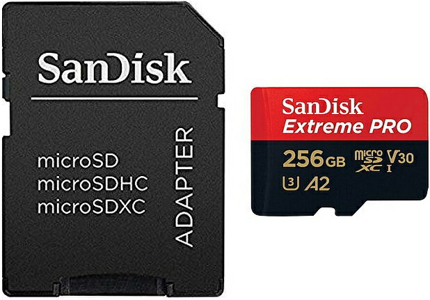 SDSQXCD-256G-GN6MA�ڥͥ��ݥ����������� 6���ޤǡ�