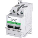 電流引外し 2極 中速形(A特性) NC1V-2100-15AA【送料無料(沖縄・一部離島部を除く)】