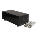 Twin10G SFP28 Thunderbolt Adapter (Dual-port 10GbE Includes two SFP28 transceive...